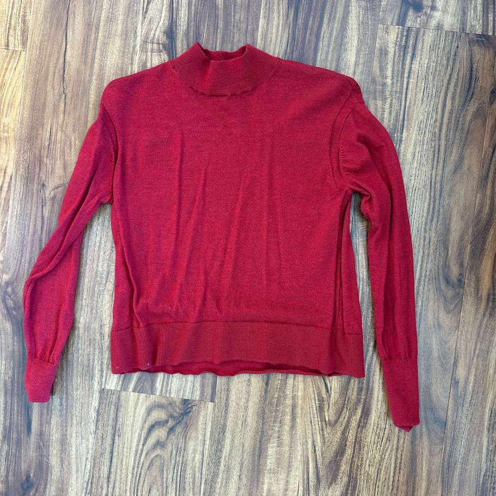 Everlane cashmere turtleneck